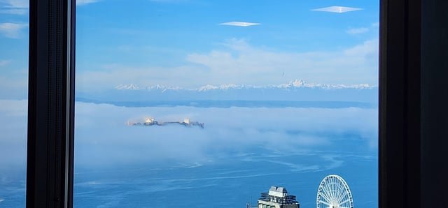 The fog this morning.