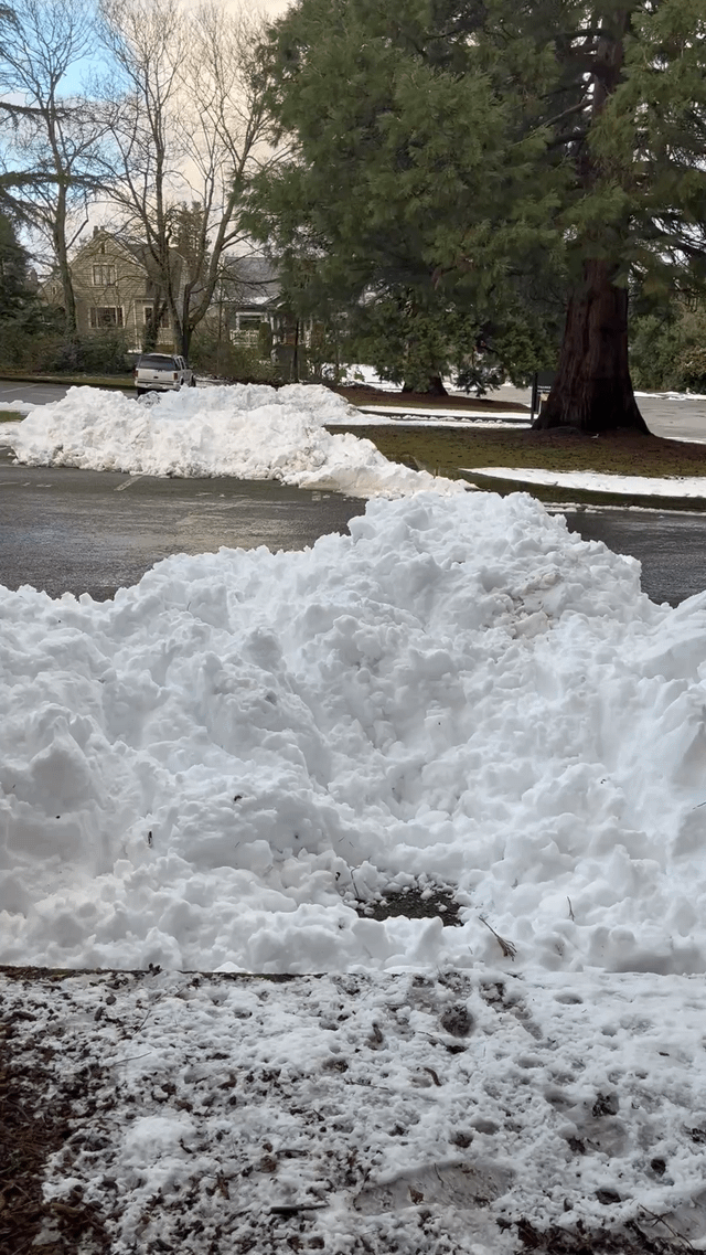 A fun and enriching exercise to do with your dogs, around those snow piles.