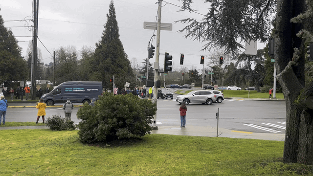 Tesla Protest at the U Village has a Good Turnout