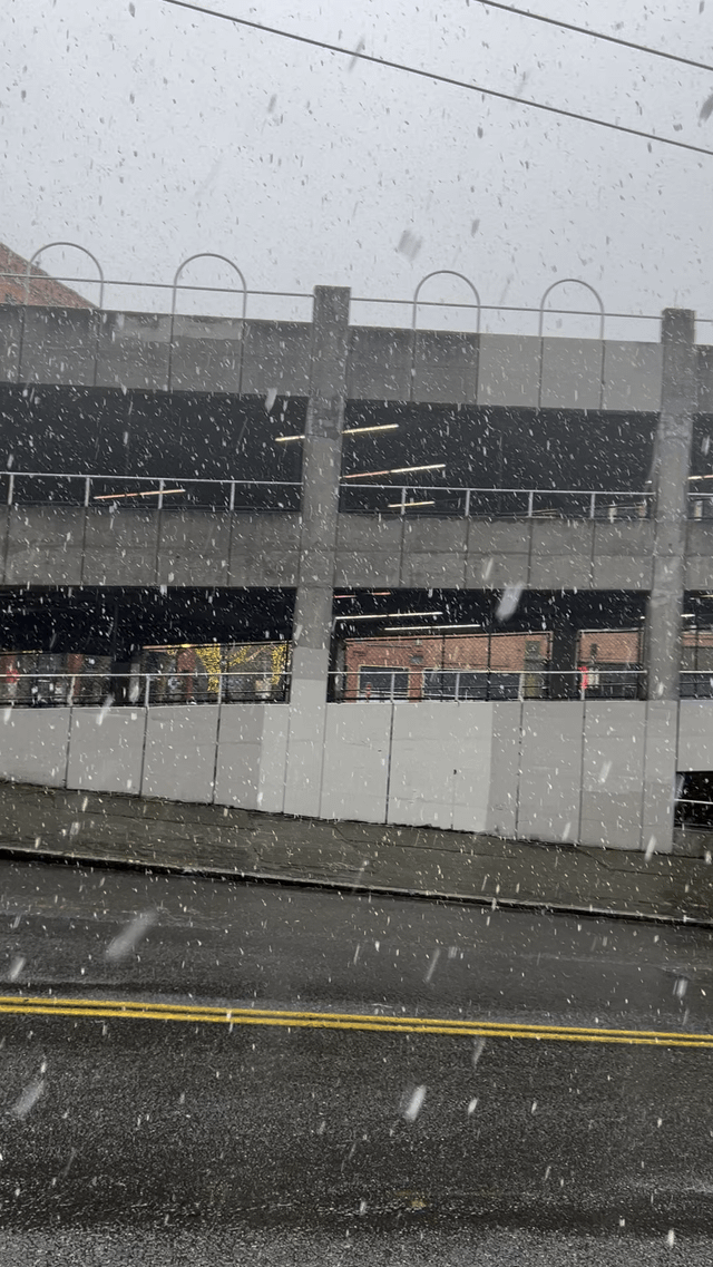 Snow! ❄️ finally 😂