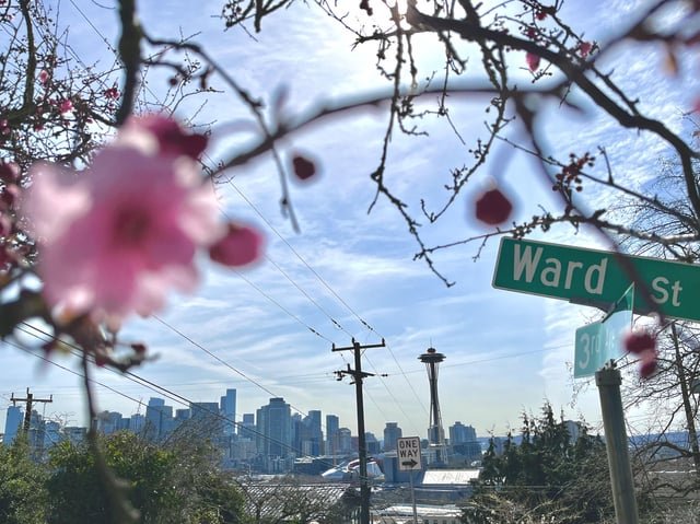 Got reminded of my visit to Seattle in 2023. This has remained one of my favorite pictures I’ve ever taken