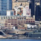 Transient Orcas made another visit to Elliott Bay yesterday