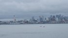 Orcas seen from Alki, west Seattle. 2/22/2025