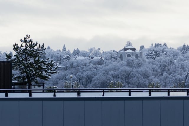 A snowy photo, wish the building wasn’t in the way