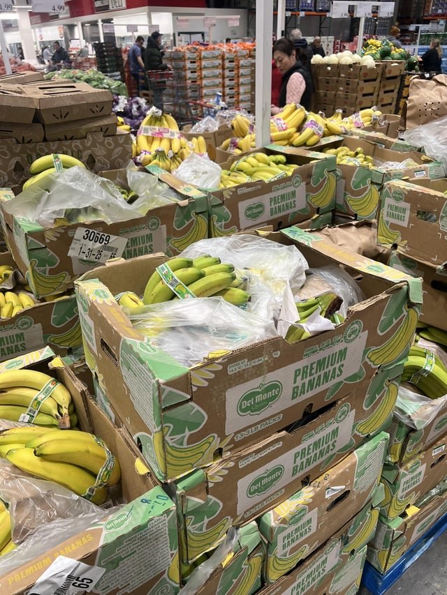 The snow can’t be that bad…