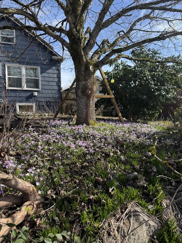 That’s Spring in my book