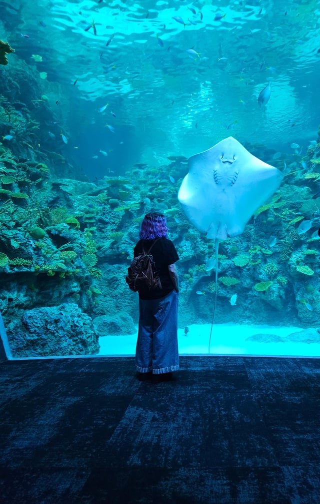 Recently visited the new aquarium. I was underwhelmed by the set up, aside from this one spot. My friend got this rad shot of me enjoying this display.