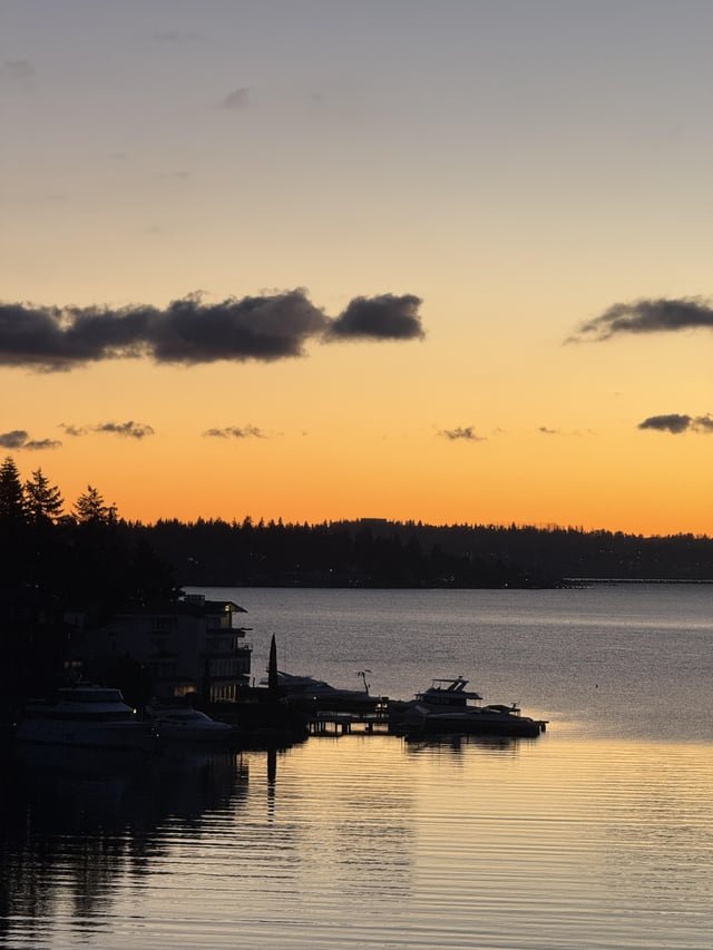 You can’t hate Bellevue.