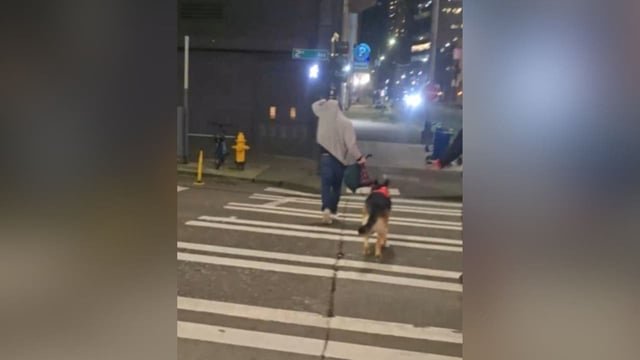 Woman allegedly assaulted in downtown Seattle after dog cleanup confrontation