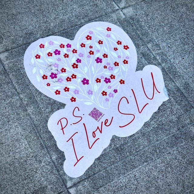 Finding joy in little things. Happy Tuesday Seattle.