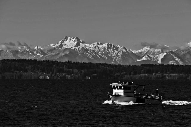 Mt. Pershing Olympic National Park