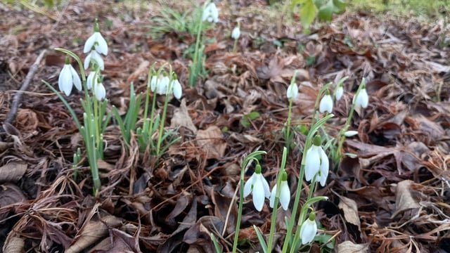 Ladies and gentlemen, the first of the year!