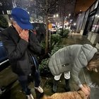 Yofi, the dog believed to be stolen, was found SAFE!