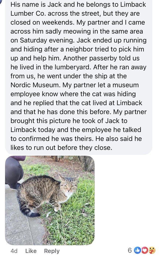 Update: Found Cat in Ballard