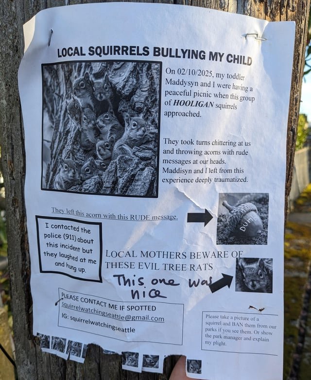 Update on Squirrel Watch