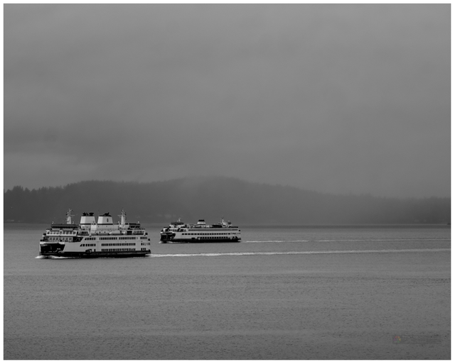 Ferries having a little race today /s