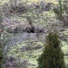 What’s living in my backyard?