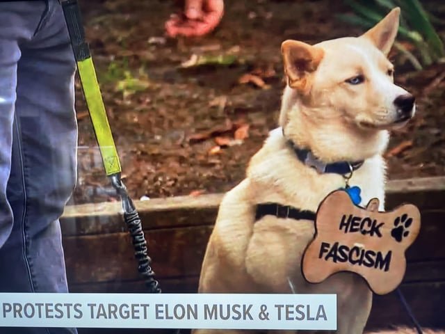 🐾 Heck Fascism 🐾