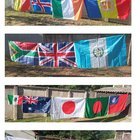 Hey, I am Elena, from Serbia, and I have one hobby which is flag collection, but I still don’t have Washington state flag, I already have flags from 21 US states (more are coming too) , is there anyone who would be able to send me? Thanks (or maybe your city or another state flag)