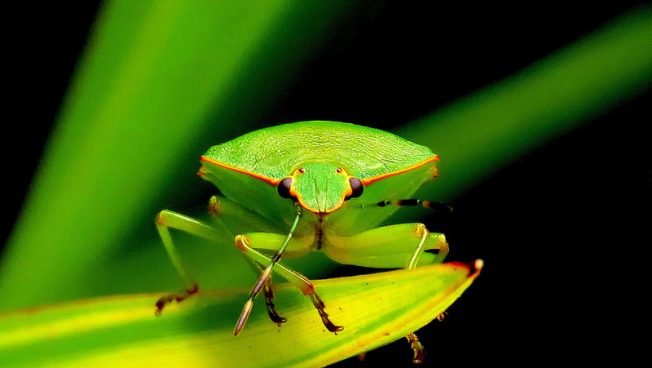 The list for your West Seattle Wednesday