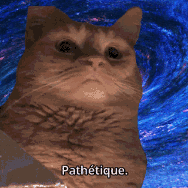 All of Seattle Right Now.