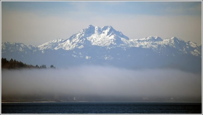 WEST SEATTLE SATURDAY: 28 options!