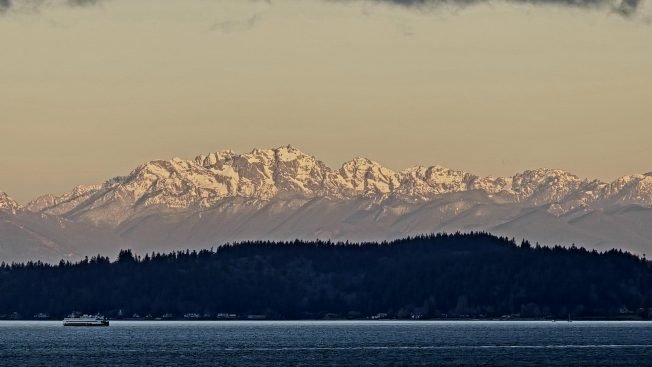 Life-saving lesson for parents, 14 locations for West Seattle Book Club, more for your Thursday