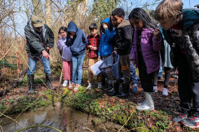WEST SEATTLE SALMON: Student research hints at health of Fauntleroy Creek