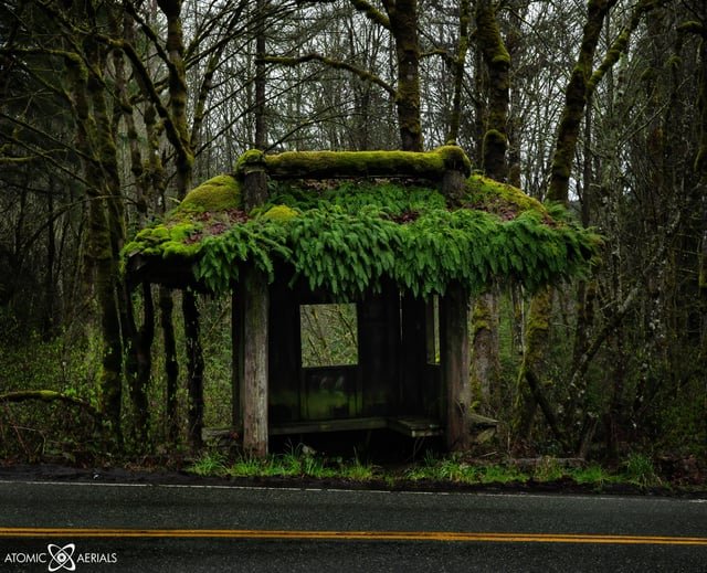 Easily one of my favorite Ghibli-esque sights in the region…