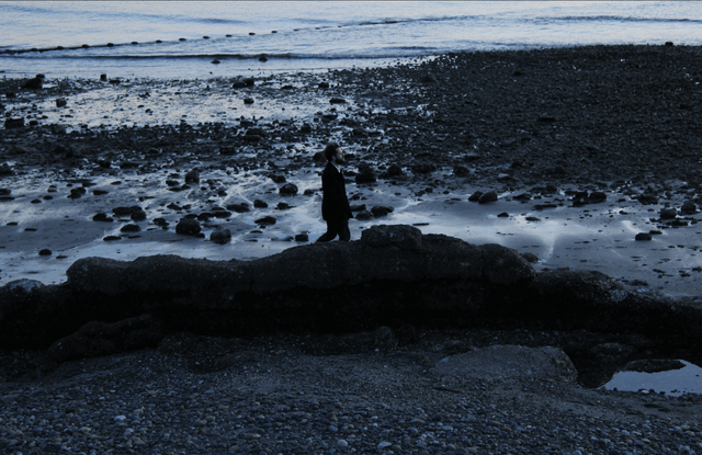 Got this cool photo of someone walking on Alki tonight. Beginner Photographer.