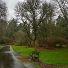 I went for a walk with my partner at the Arboretum. It was so beautiful. It smelled so fresh due to the rain. I wanted to share these photos, and wanted to say how lucky I am to live in Seattle.