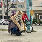 This King 👏🏻👏🏻👏🏻