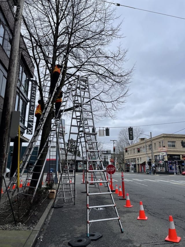 From the same guys who brought you “Four Men on Six Ladders” comes “Three Men on Five Ladders: West Seattle.” A must-see.