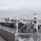 Sunday evening moments