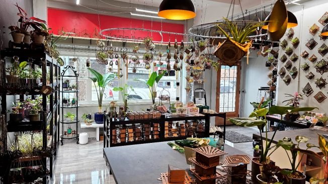 BIZNOTES: New plant store; restaurant’s new hours
