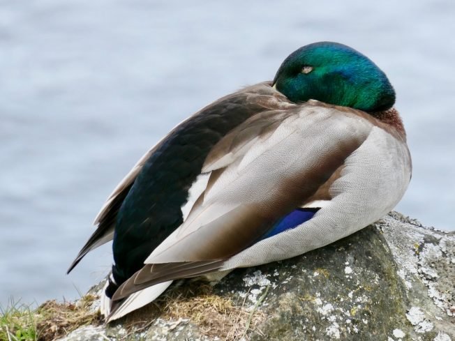 14 possibilities for your West Seattle Tuesday