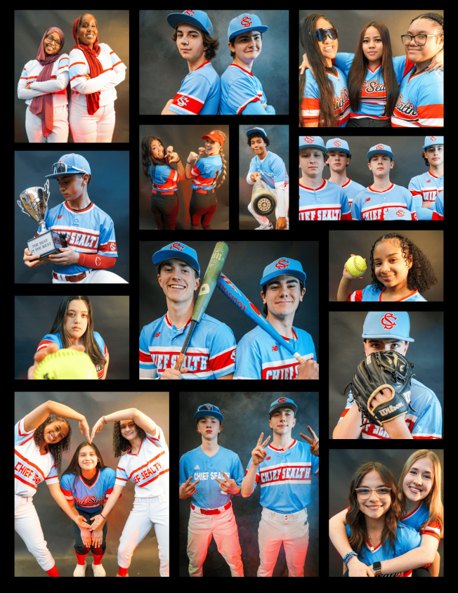 ‘Keep baseball and softball alive’: A pitch for help, if you can