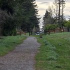 Unleashed dog pair attacked a kid – newport hills