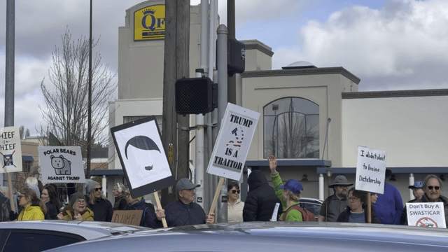 Peaceful protest against DOGE