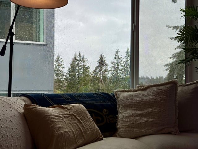 Just A Lovely Rainy Seattle Day!