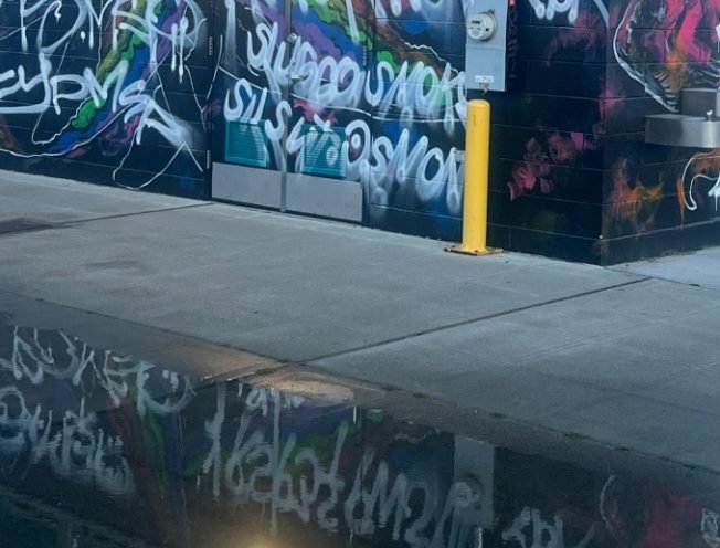 Alki restroom-building mural vandalized by tagger(s). So what happens now?