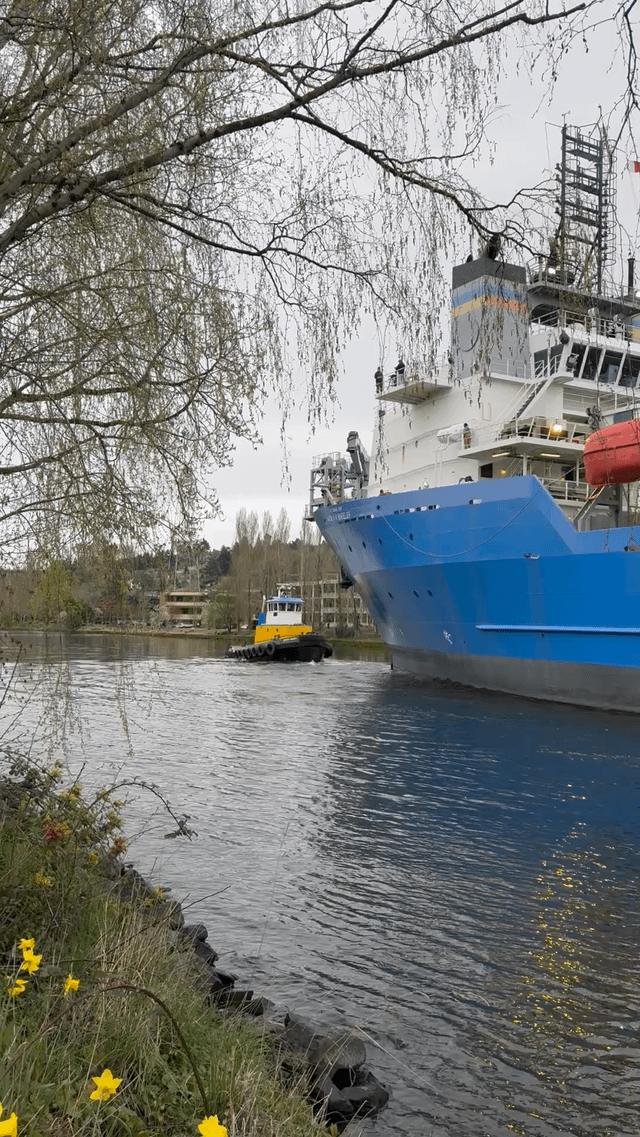 Largest ship I’ve ever seen passing through ship canal!