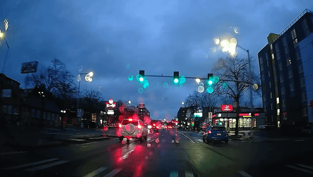 Please bring back the concrete lane dividers on 15th Ave in Ballard.