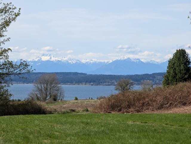 Found a little spring today