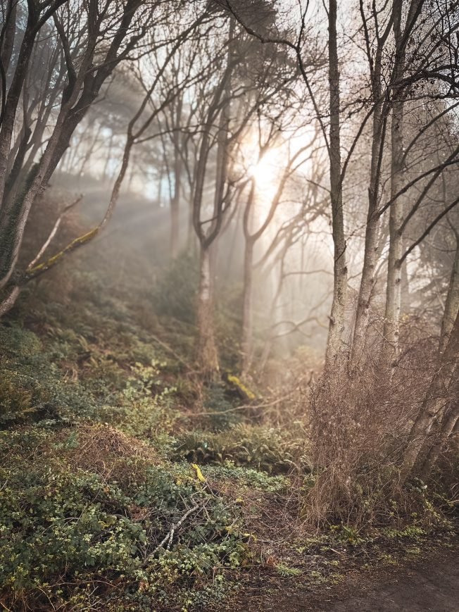 WEST SEATTLE SATURDAY: 33 notes!