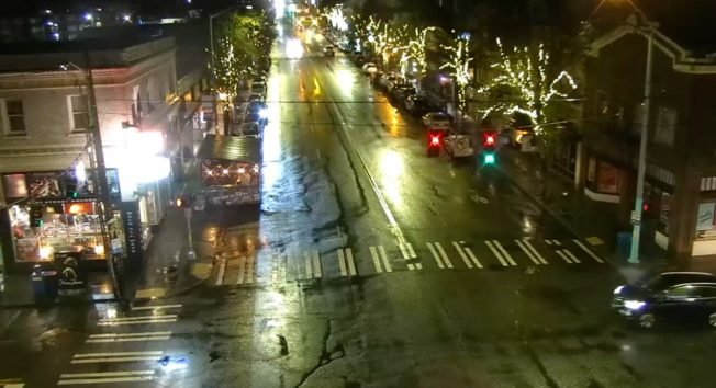 West Seattle Junction tree updates