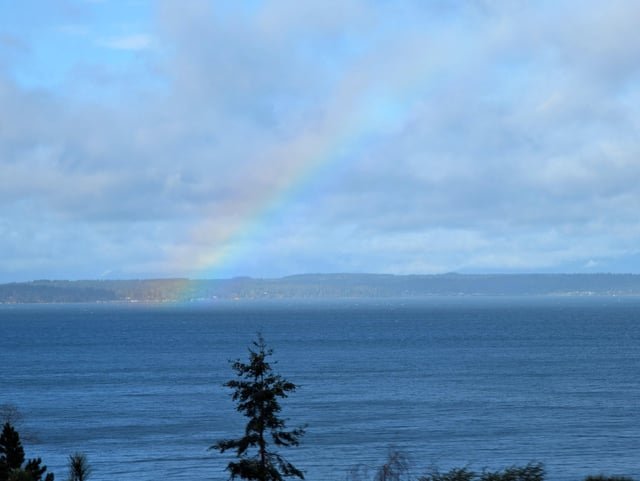 I am never leaving Seattle