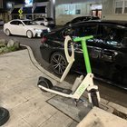 my “i’m never leaving seattle” portfolio