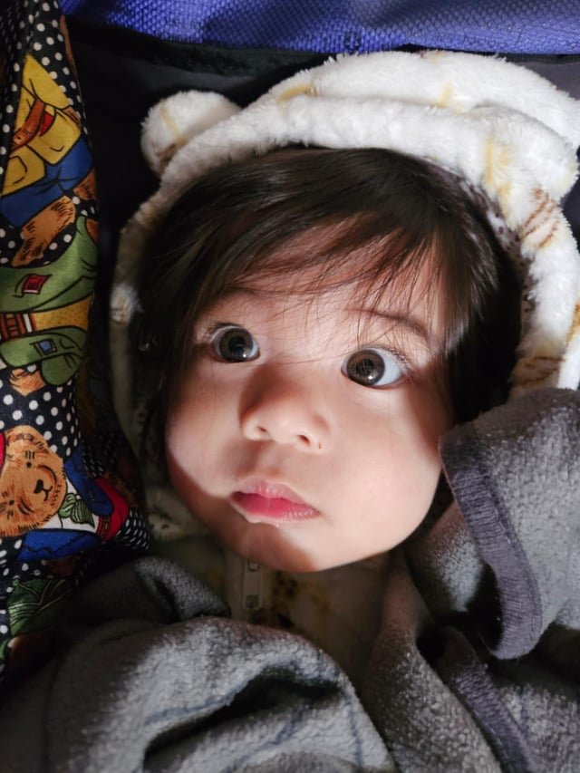 Lost Baby Pillow – Please Help 🧸🧸🧸