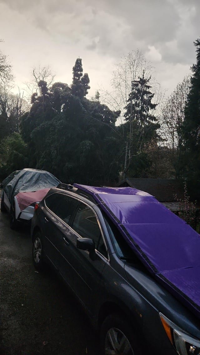 Can’t tell if this is stupid, but this sure FEELS stupid